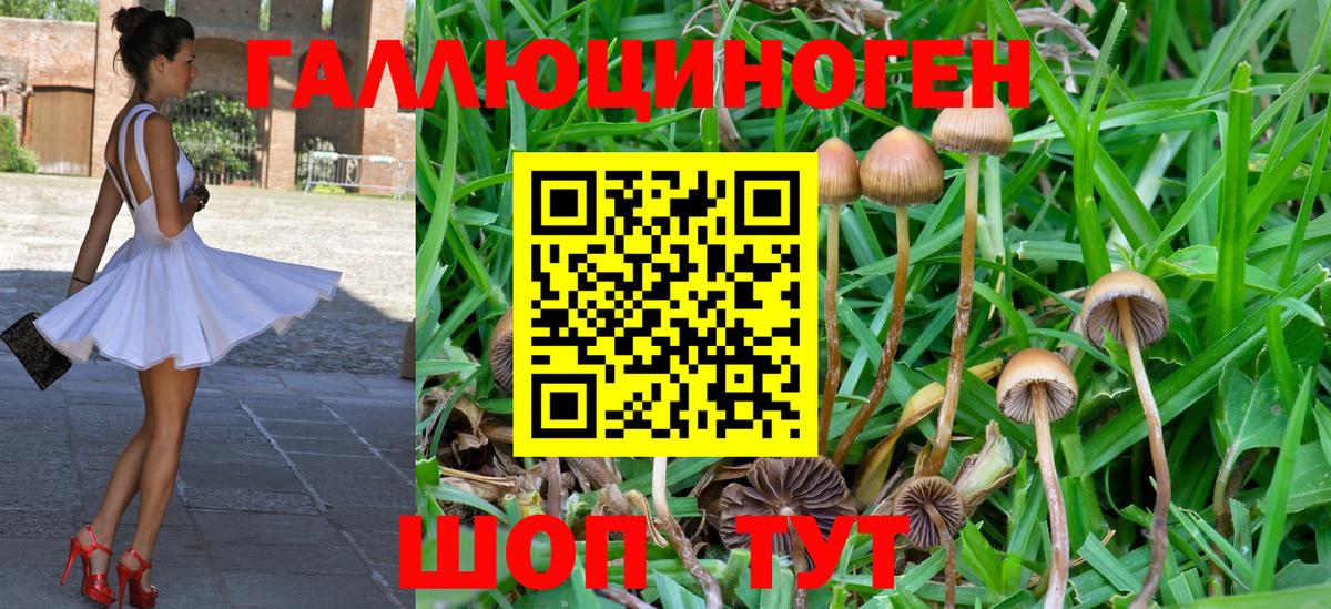 Псилоцибиновые грибы MAGIC MUSHROOMS Рассказово