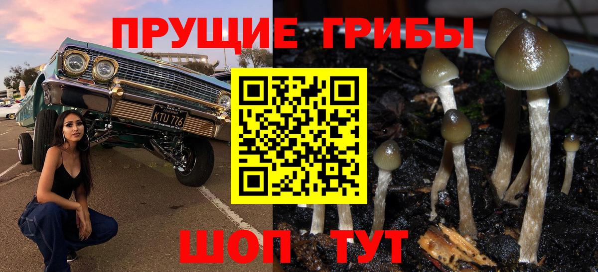 Псилоцибиновые грибы Magic Shrooms  Вход с VPN  купить закладку  Рассказово 