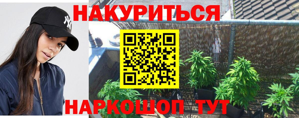 Конопля SATIVA & INDICA Рассказово